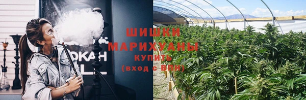 мдпв Яранск